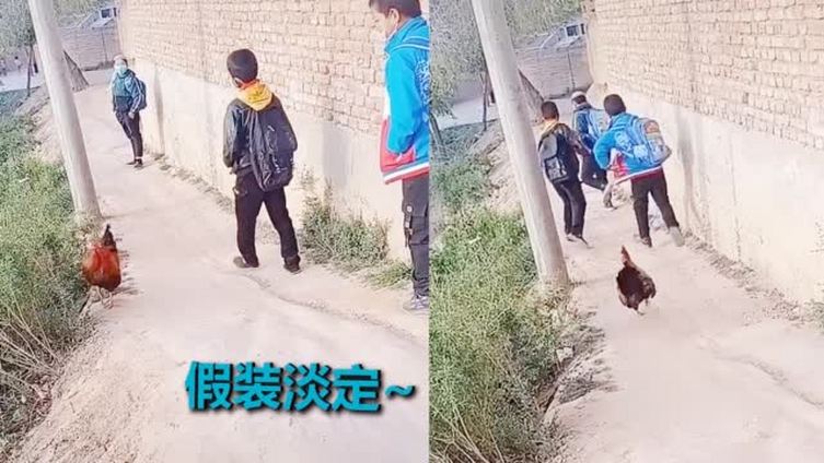 【男孩上学途中遭遇“村霸”拦路 战战兢兢猛攻智取 下一秒被追得狼狈逃窜[捂脸]】近日,一段